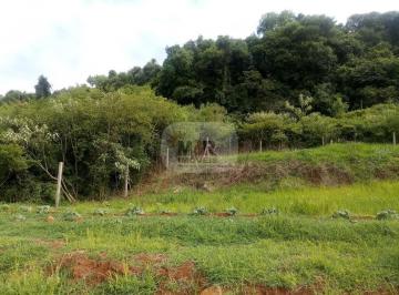 Foto 03 · Terreno, Pinhal Alto, Nova Petrópolis, RS