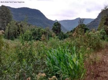 Foto 01 · Area, São José do Caí, Nova Petrópolis, RS