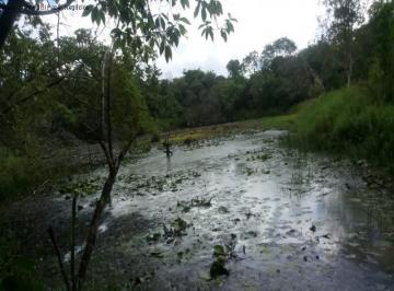 Foto 01 · Area, Arroio Paixão, Nova Petrópolis, RS