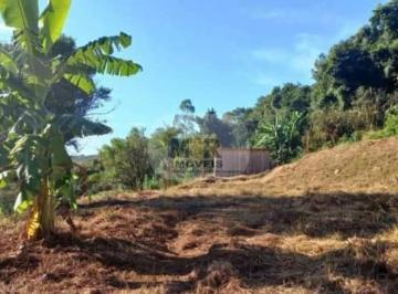 Foto 05 · Area, Linha Temerária, Nova Petrópolis, RS