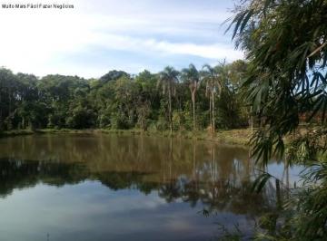 Foto 01 · Area, Pinhal Alto, Nova Petrópolis, RS