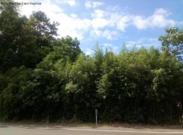 Foto 01 · Terreno, Vale Verde, Nova Petrópolis, RS
