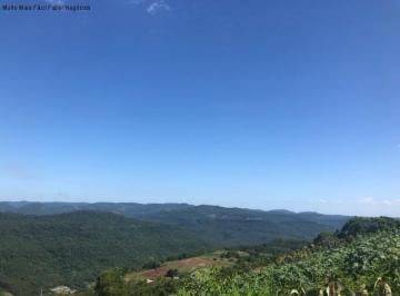 Foto 01 · Area, Linha Olinda, Nova Petrópolis, RS