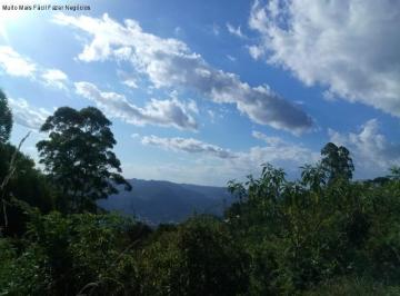Foto 01 · Area, Fazenda Pirajá, Nova Petrópolis, RS