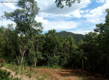 Foto 01 · Area, Linha Pirajá Alta, Nova Petrópolis, RS