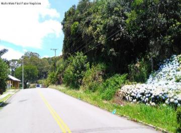 Foto 01 · Terreno, Vila Olinda, Nova Petrópolis, RS
