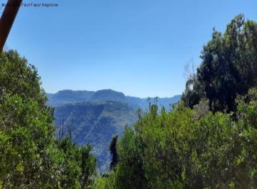 Foto 01 · Sitio, Linha Brasil Fundos, Nova Petrópolis, RS