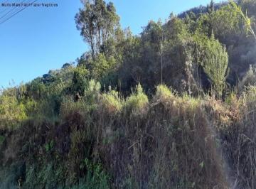 Foto 01 · Terreno, Pinhal Alto, Nova Petrópolis, RS