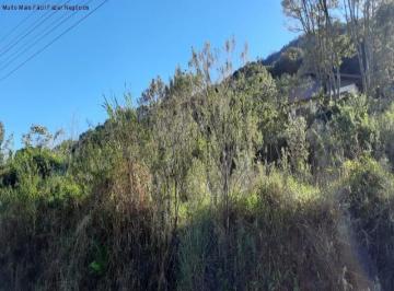 Foto 01 · Terreno, Pinhal Alto, Nova Petrópolis, RS