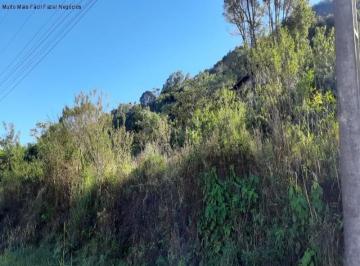 Foto 01 · Terreno, Pinhal Alto, Nova Petrópolis, RS