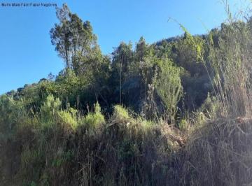 Foto 01 · Terreno, Pinhal Alto, Nova Petrópolis, RS