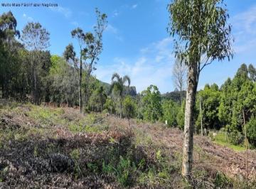 Foto 01 · Terreno à Venda no Bairro Piá | Nova Petrópolis | 574m² com Vista e Infraestrutura Completa