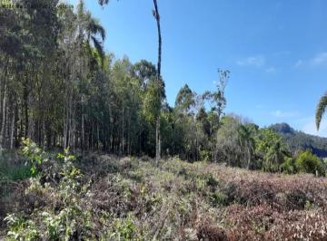 Foto 01 · Terreno à Venda no Bairro Piá | Nova Petrópolis | 620m² com Vista Panorâmica e Infraestrutura Comple