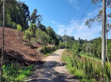 Foto 01 · Terreno, Piá, Nova Petrópolis, RS