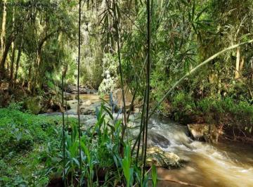 Foto 04 · Area, São Jacó, Nova Petrópolis, RS