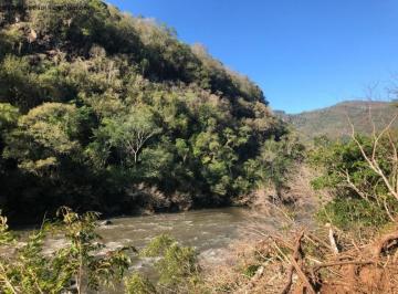 Foto 01 · Area, São José do Caí, Nova Petrópolis, RS