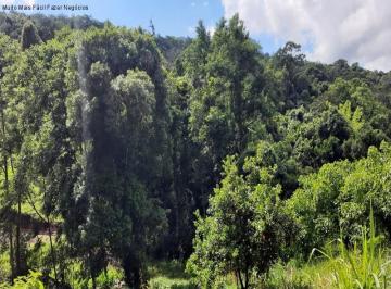Foto 01 · Area, Linha Olinda, Nova Petrópolis, RS