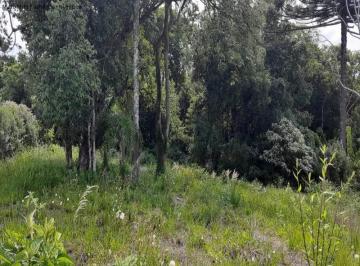 Foto 01 · Terreno, Linha Imperial, Nova Petrópolis, RS