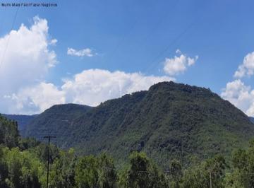 Foto 01 · Area, Linha Riachuelo, Nova Petrópolis, RS