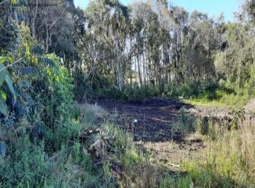 Foto 01 · Terreno, Linha Imperial, Nova Petrópolis, RS