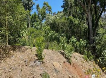 Foto 01 · Terreno, Linha Imperial, Nova Petrópolis, RS