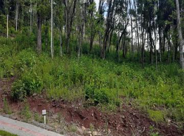 Foto 01 · Terreno, Linha Imperial, Nova Petrópolis, RS
