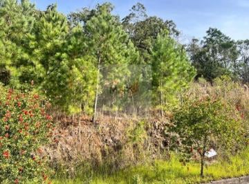 Foto 04 · Terreno à Venda no Loteamento Horizonte Bavária Nova Petrópolis | Lote Residencial 387m²