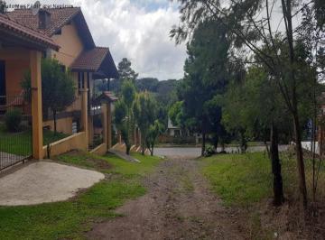 Foto 01 · Area, Fazenda Pirajá, Nova Petrópolis, RS