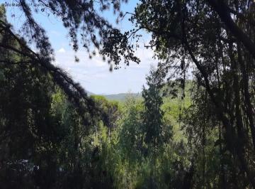 Foto 01 · Area, Lageana, Gramado, RS