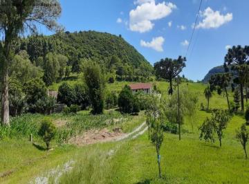 Foto 01 · Sítio em Nova Petrópolis - Pinhal Alto