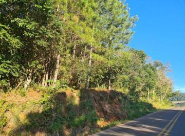 Foto 01 · Area, Linha Temerária, Nova Petrópolis, RS