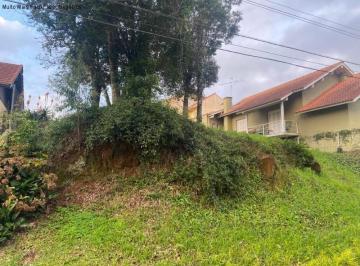 Foto 01 · Terreno, Logradouro, Nova Petrópolis, RS