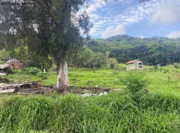 Foto 01 · Terreno, Linha Araripe, Nova Petrópolis, RS