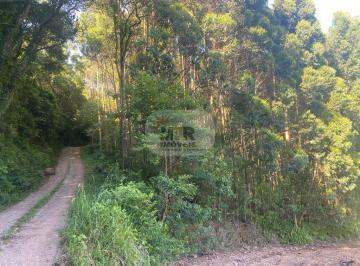Foto 01 · Area, Nove Colônias, Nova Petrópolis, RS