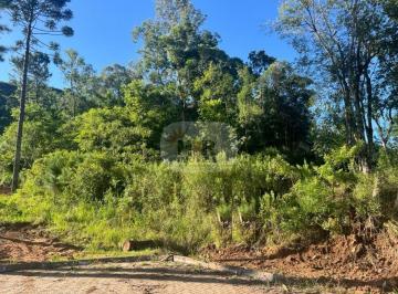 Foto 01 · Terreno, Pinhal Alto, Nova Petrópolis, RS