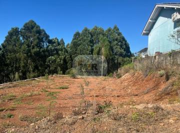 Foto 01 · Terreno, Residencial dos Platanos, Nova Petrópolis, RS