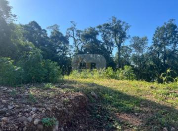 Foto 01 · Terreno, Linha Olinda, Nova Petrópolis, RS
