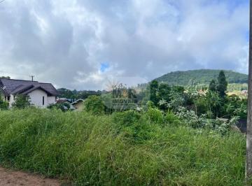 Foto 01 · Terreno - Nova Petrópolis