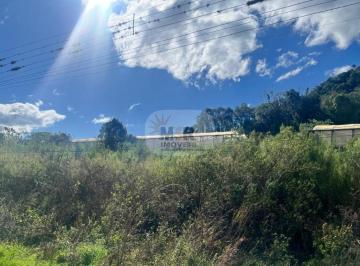 Foto 01 · Terreno, Pinhal Alto, Nova Petrópolis, RS