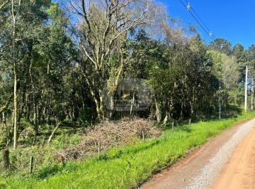 Foto 01 · Area, Nove Colônias, Nova Petrópolis, RS