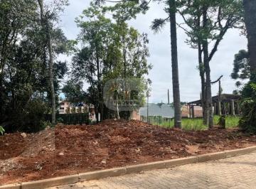 Foto 01 · Terreno - Nova Petrópolis