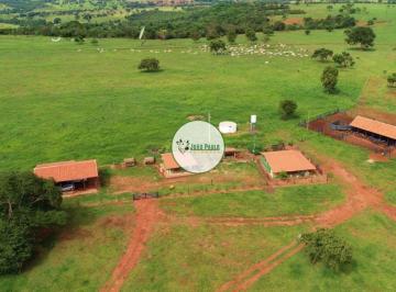 Rural , Prata · Fazenda a venda Prata-MG - 192 Hectares - Nova e de altíssima produtividade - Infraestrutura