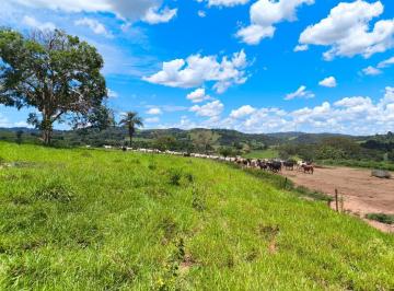 202601220836451593.jpg · Fazenda para Venda em Monte Santo de Minas, RURAL