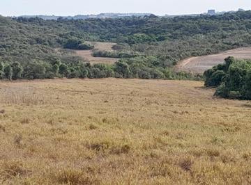202601221124134910.jpg · Fazenda para Venda em São Sebastião do Paraíso, RURAL