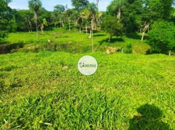 Rural de 2 quartos, Padre Bernardo · Fazenda a venda em Padre Bernardo - 101 Hectares - Aptidão para PECUÁRIA - Boa de água