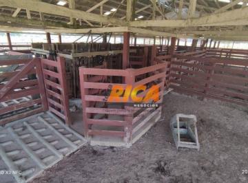Imagem 1 · Fazenda