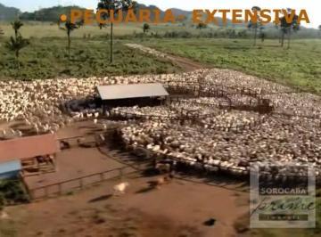 Imagem 1 · Fazenda