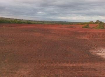 Imagem 1 · Fazenda