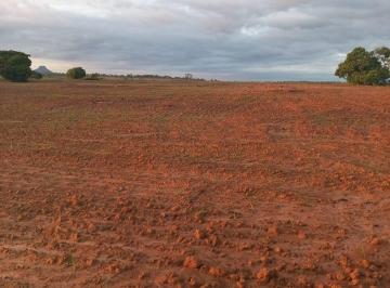 Imagem 1 · Fazenda