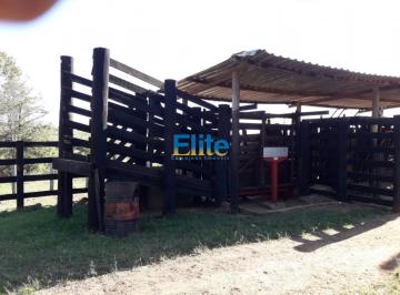 Imagem 1 · Fazenda